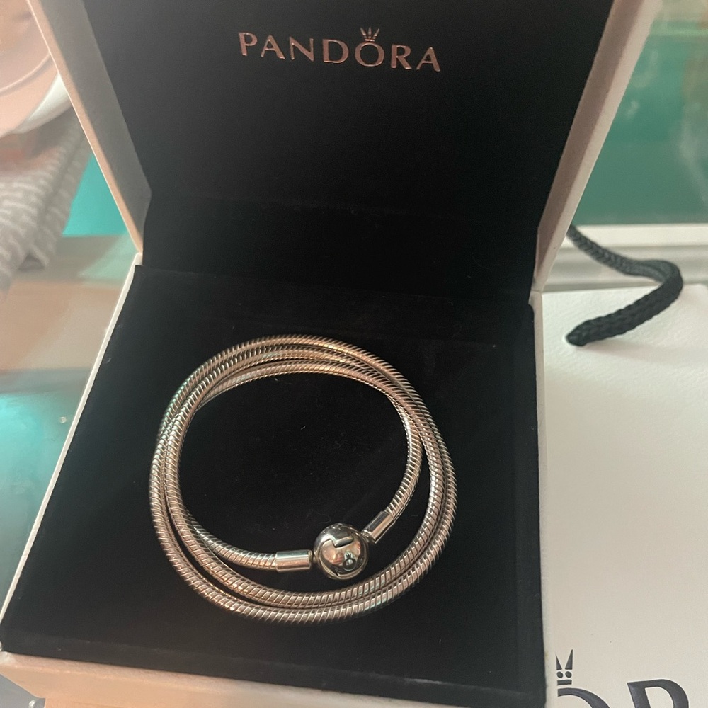 Pandora necklace